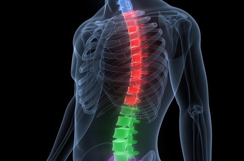 Spinal Cord Injuries-min-min